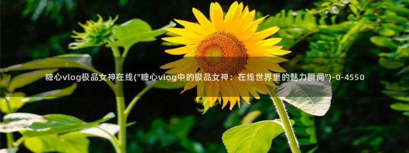 糖心八大：糖心vlog极品女神在线(\