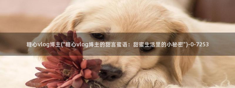 糖心vlog.：糖心vlog博主(\