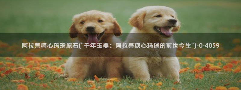 新版糖心